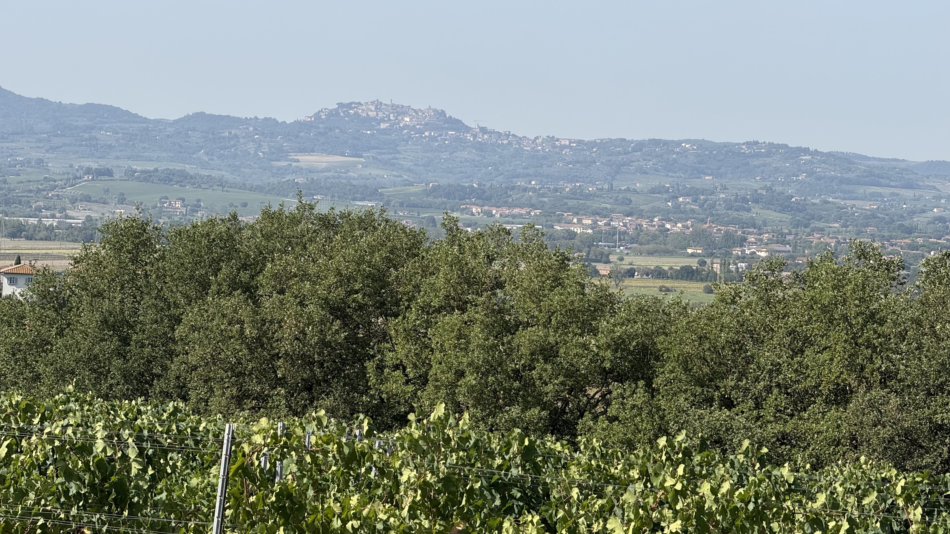 My Under the Tuscan Sun Week
