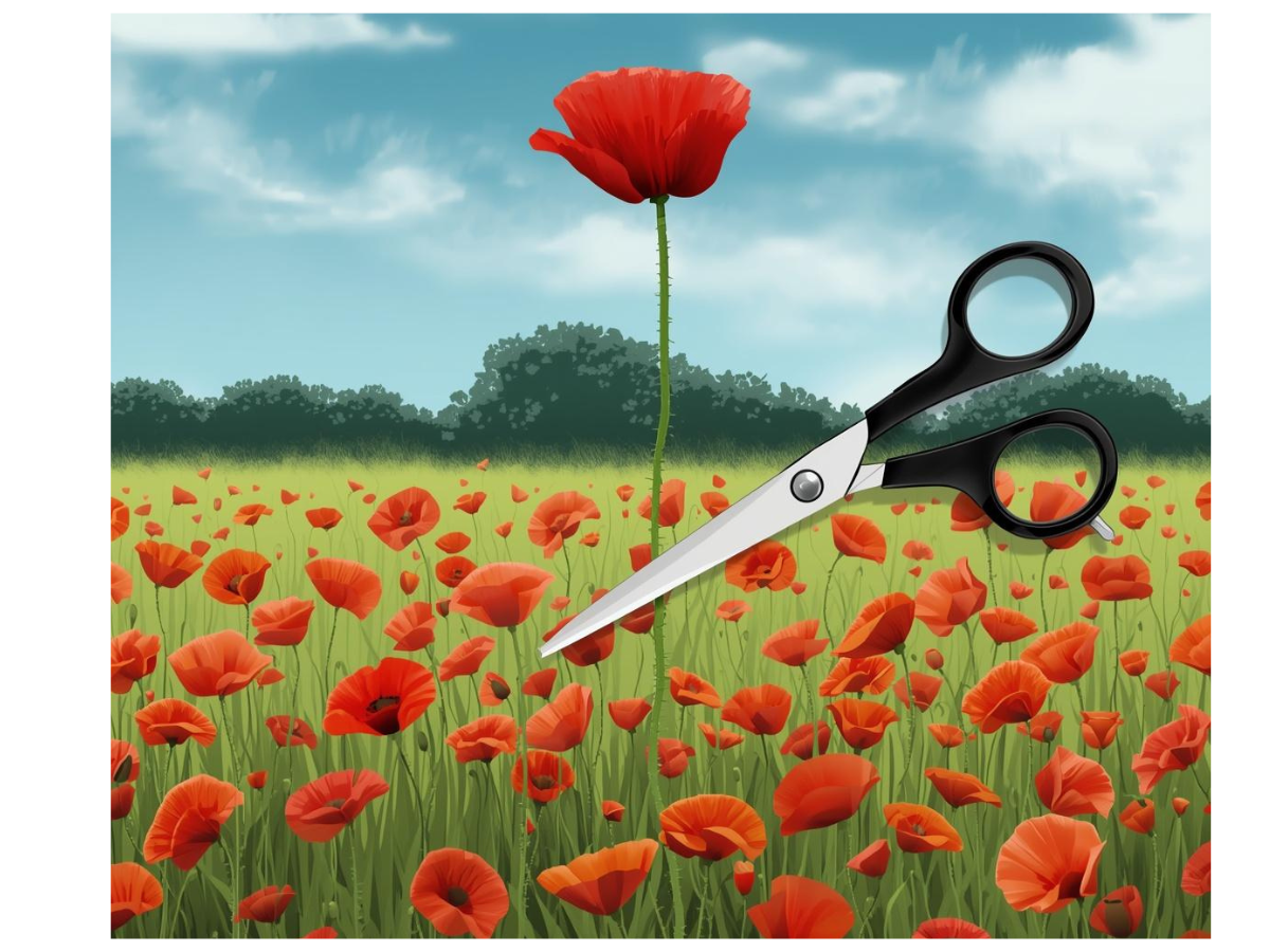 When Fear Runs the System: How It Silences Innovation in Schools